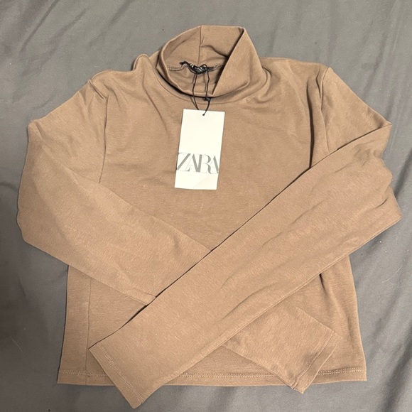 Zara Brown Cropped Mockneck/Turtleneck Sweater - Picture 1 of 4